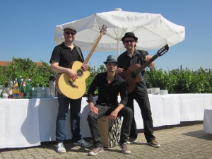 Sommerparty im alten Land 2013